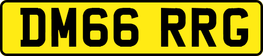 DM66RRG