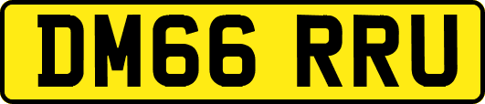 DM66RRU