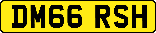 DM66RSH