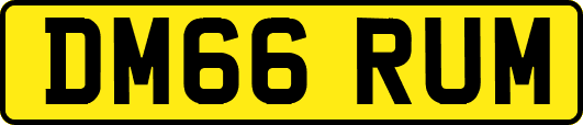 DM66RUM