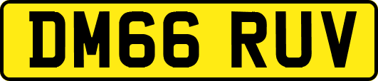 DM66RUV
