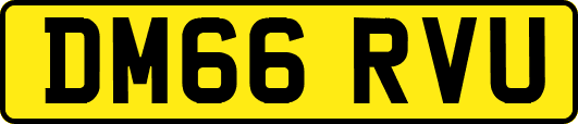 DM66RVU