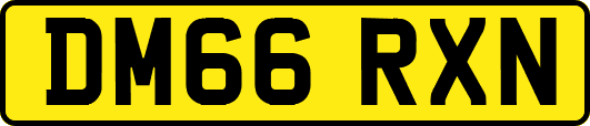 DM66RXN