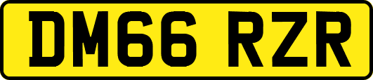 DM66RZR