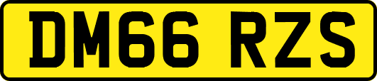 DM66RZS
