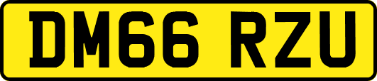 DM66RZU