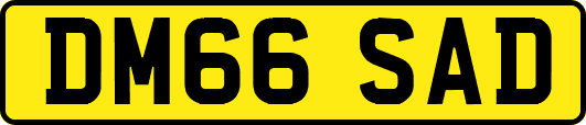 DM66SAD
