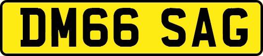 DM66SAG