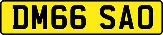 DM66SAO