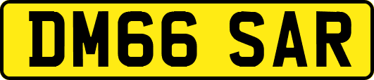 DM66SAR