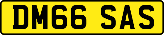 DM66SAS