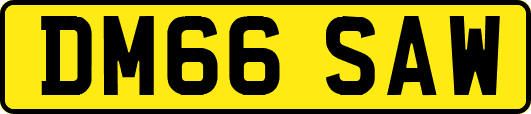 DM66SAW