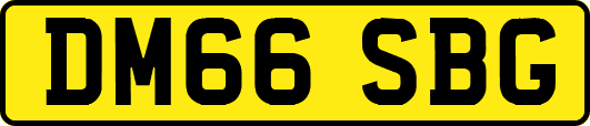 DM66SBG