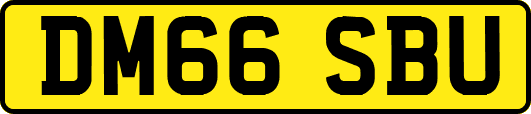 DM66SBU
