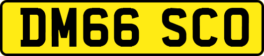 DM66SCO