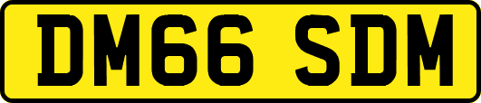 DM66SDM
