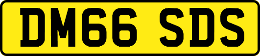 DM66SDS