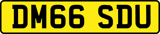 DM66SDU