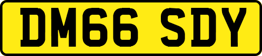 DM66SDY