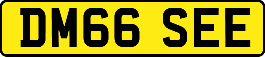 DM66SEE
