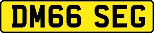 DM66SEG