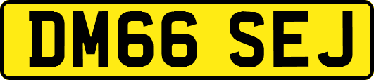 DM66SEJ