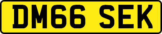 DM66SEK