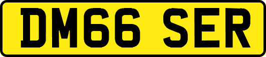 DM66SER