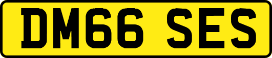 DM66SES