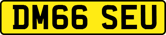 DM66SEU