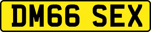 DM66SEX