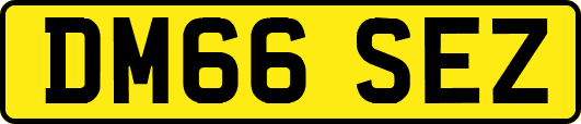 DM66SEZ