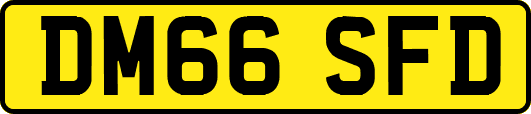 DM66SFD