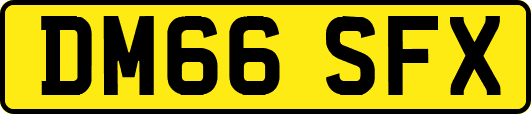 DM66SFX