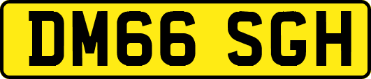 DM66SGH