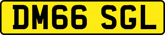 DM66SGL