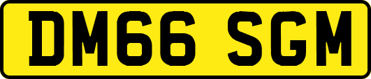 DM66SGM