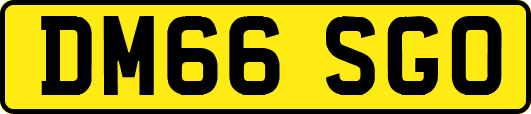 DM66SGO