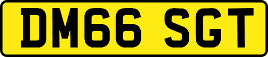 DM66SGT