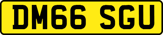 DM66SGU