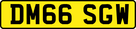 DM66SGW