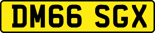 DM66SGX