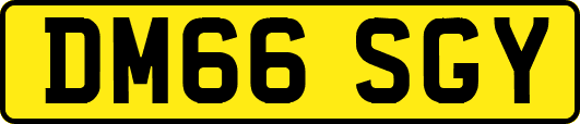 DM66SGY