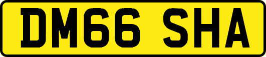 DM66SHA
