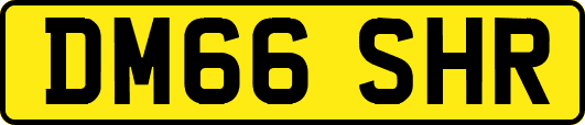 DM66SHR