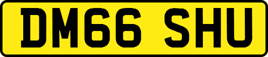 DM66SHU