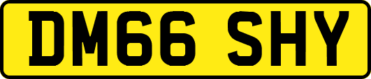 DM66SHY
