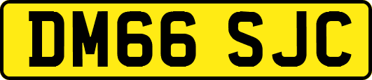 DM66SJC