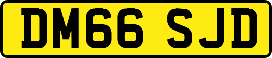 DM66SJD