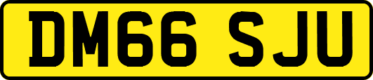 DM66SJU
